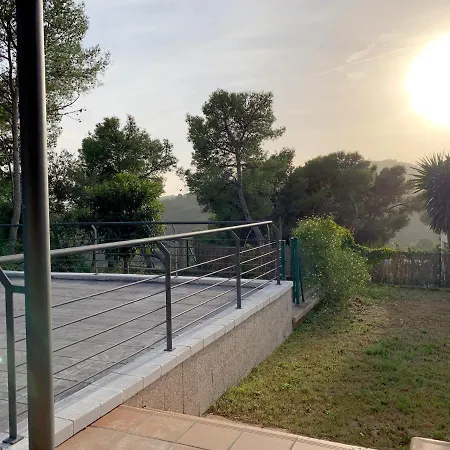 La Libelula Blanca *