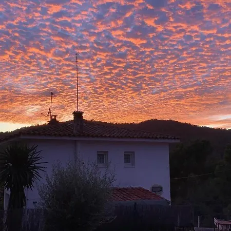La Libelula Blanca * Santa Susanna